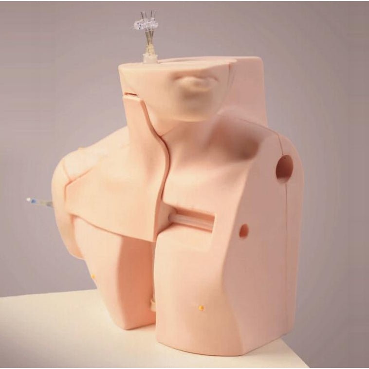 CVC Insertion Simulator II - Medical Training Device for Central Venous Catheter Practice - Perfect for Nursing Students & Healthcare Professionals
