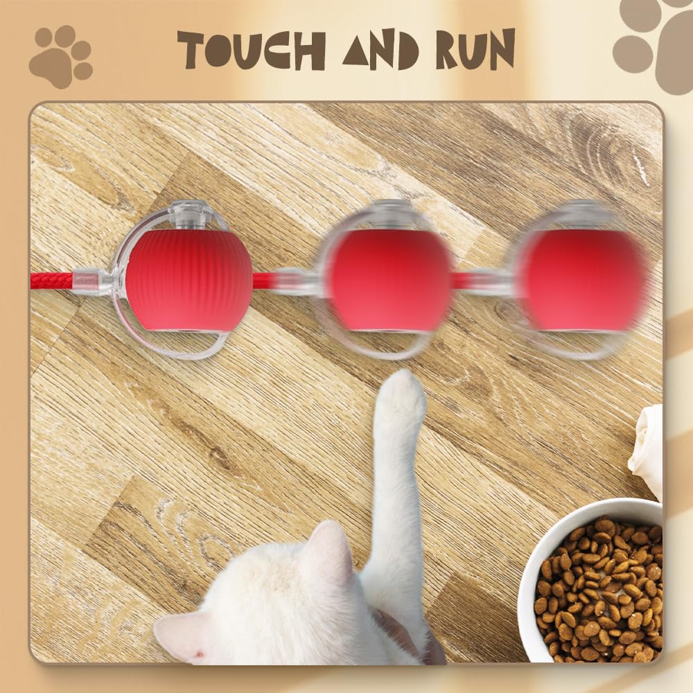 2024 Upgraded Interactive Cat Toy Ball - Automatic Self Rolling Smart Pet Toy for Indoor Cats & Kittens, Boredom Relief for Adult Cats & Dogs, Fun Playtime (Red) - Perfect for Indoor Play, Exercise & Mental Stimulation