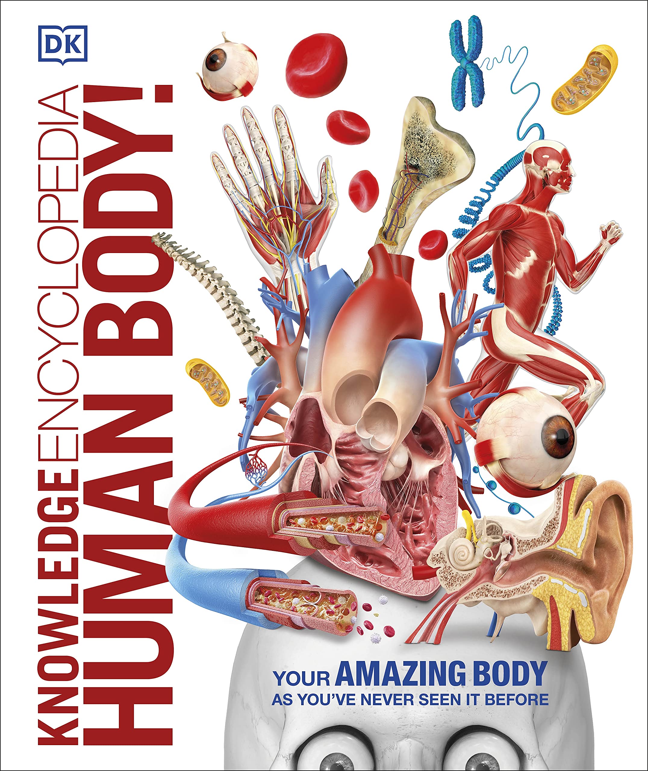 Knowledge Encyclopedia Human Body! - Illustrated Science Book for Kids & Teens | Perfect for Homeschooling & Classroom Learning