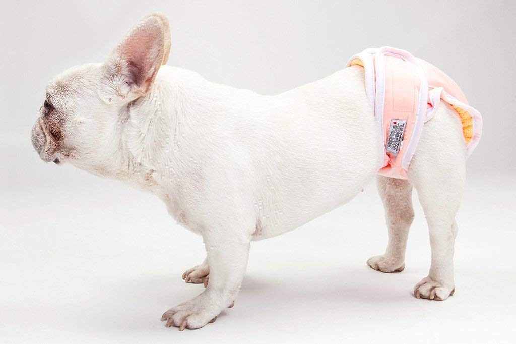 Washable Reusable Female Dog Diapers - No Tail Hole, Absorbent Pet Panties for Small Dogs | Premium Leak-Proof Puppy Diapers for Incontinence, Heat Cycle & Training | Small Pink (Ideal for Home, Travel & Vet Visits)