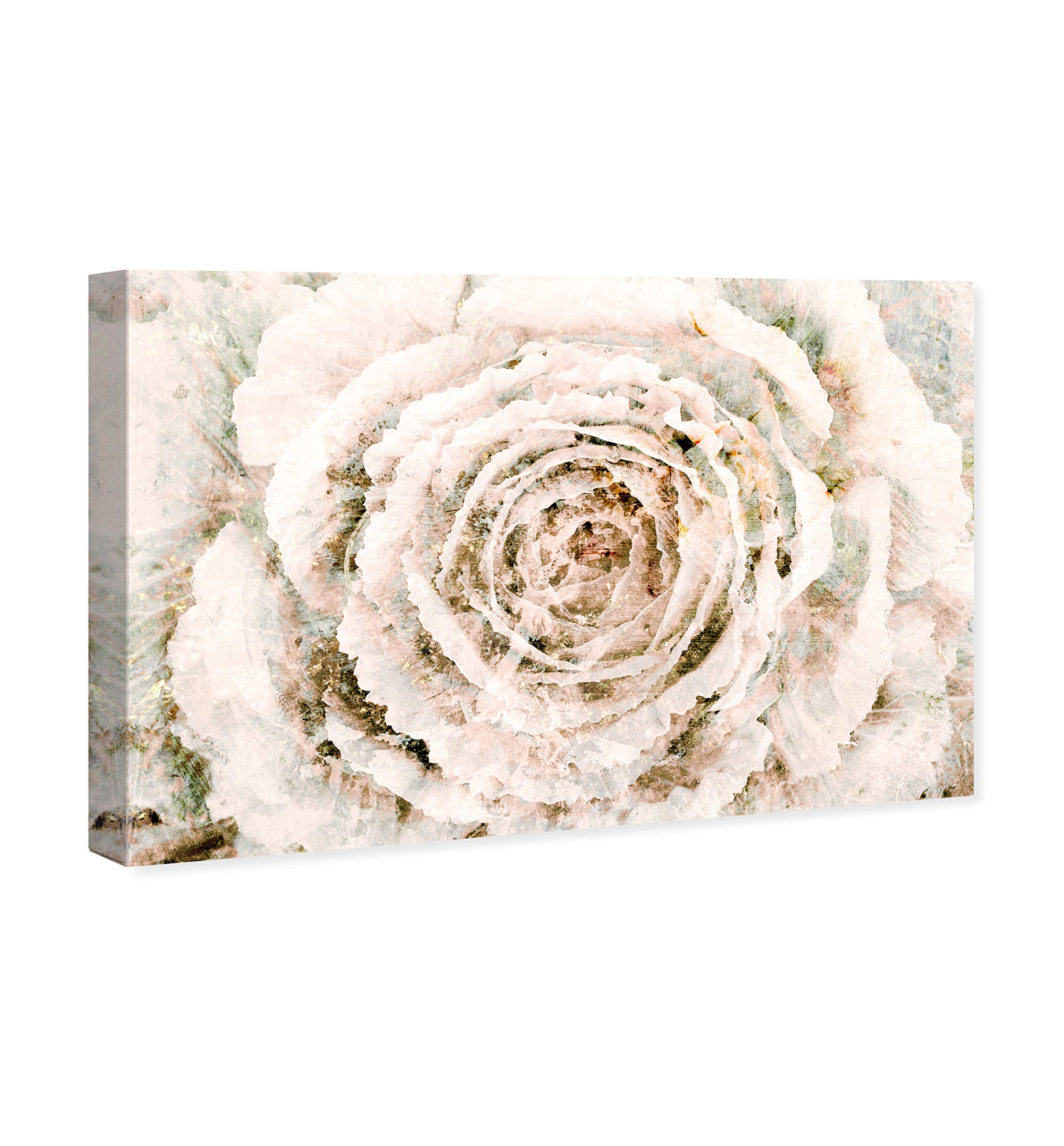 Oliver Gal Floral Wall Art Canvas Print - Winter Flower Home Decor, 36x24 Inches, White & Brown - Perfect for Living Room, Bedroom & Office Decor