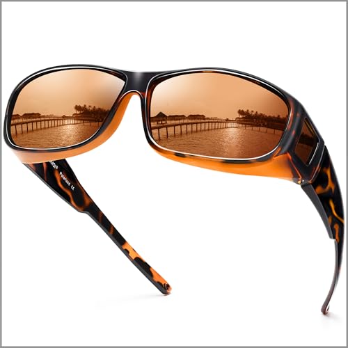 C02 Glossy Tortoise Frame/Brown Lens