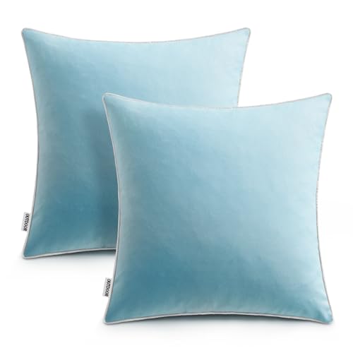 Blue Gray