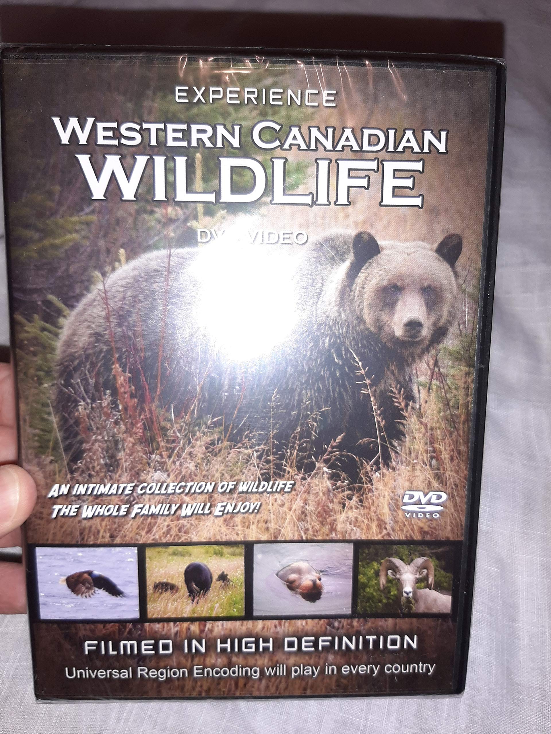 Western Canadian Wildlife Adventure - Explore Nature & Wildlife in Canada's Wilderness | Perfect for Outdoor Enthusiasts & Nature Lovers