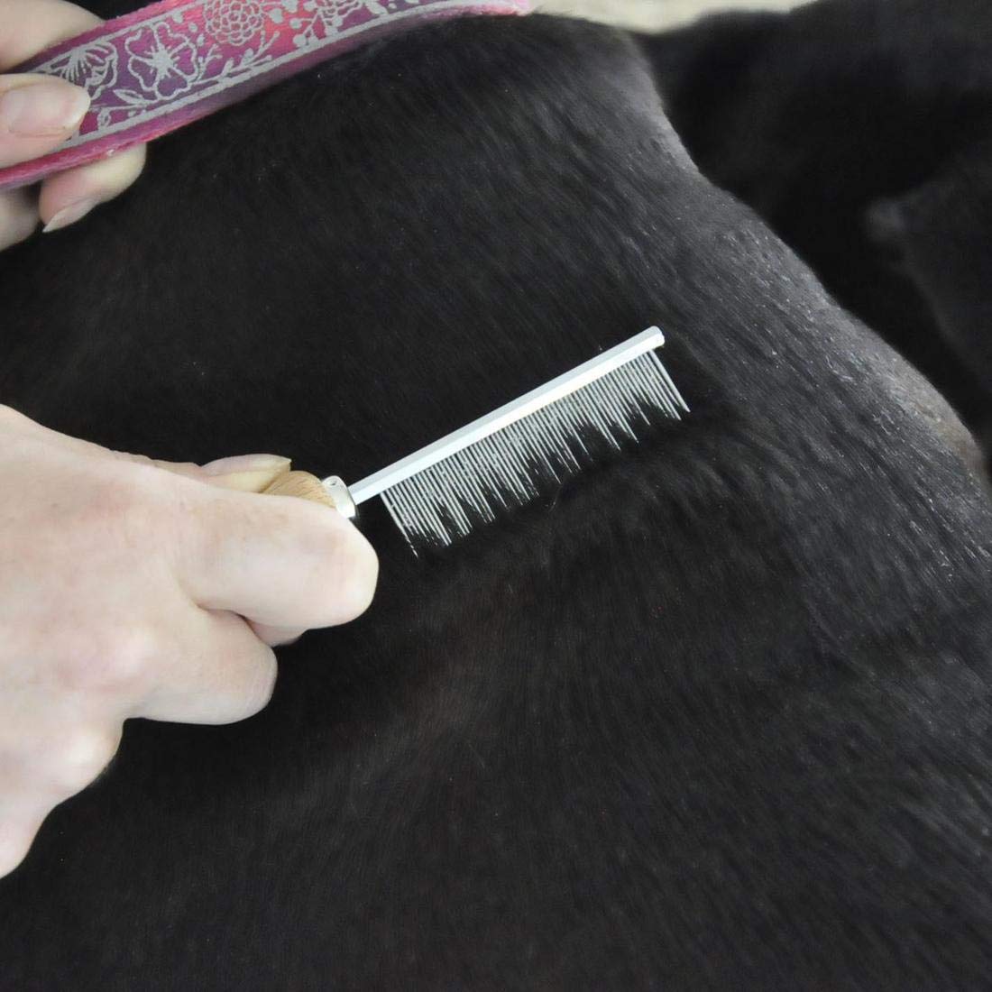 Safari Dog Flea Comb for Small & Large Dogs - Stainless Steel Flea Comb for Pet Grooming - Remove Fleas, Ticks & Dander - Perfect for Home Grooming & Veterinary Use