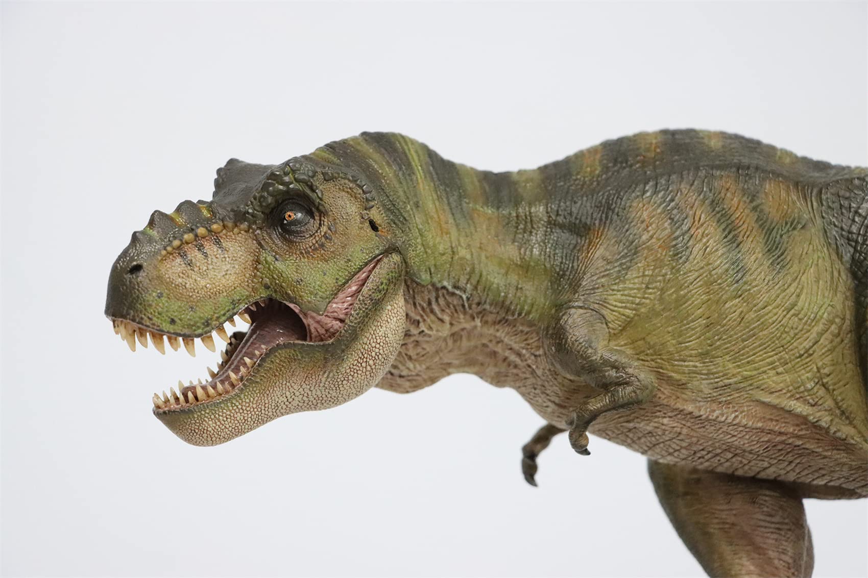 Nanmu 1:35 Scale Tyrannosaurus Rex Dinosaur Model - Highly Detailed T-Rex PVC Collector Toy, Realistic Dinosaur Figure with Display Base, Perfect Gift for Adult Collectors | Home Decor, Office Display, Dinosaur Enthusiast Collection