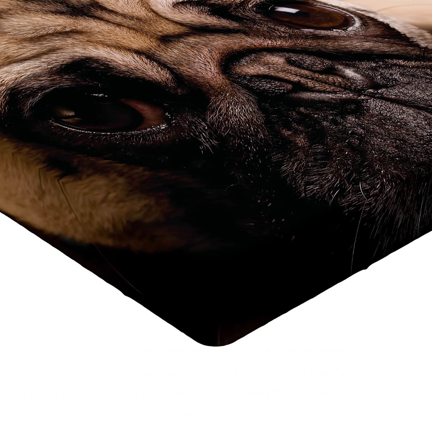 Ambesonne Pug Fitted Sheet - Twin Size Pet Dog Bed Cover for Comfortable Sleep