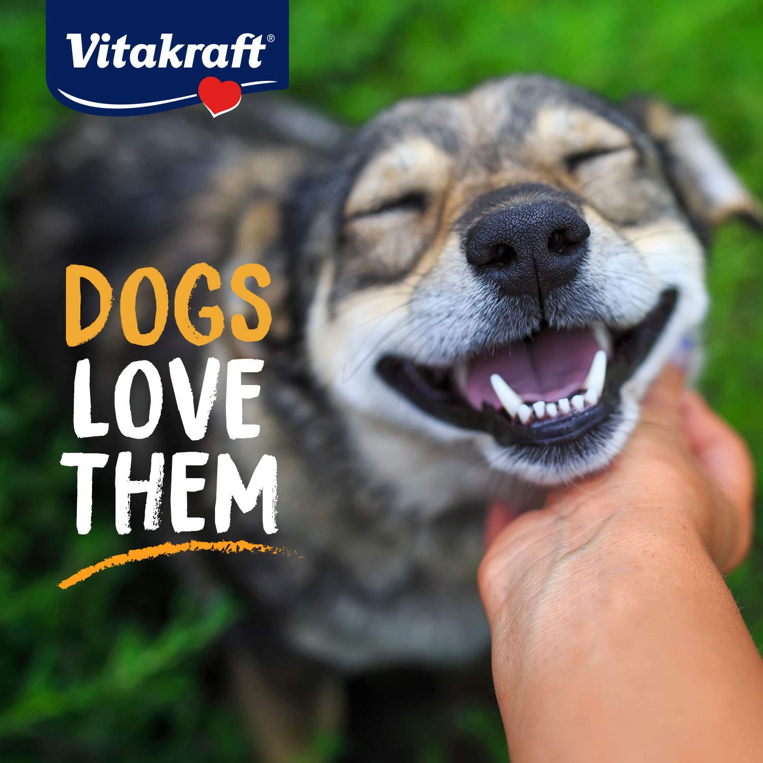 Vitakraft Chicken & Sweet Potato Dog Chew Sticks - 87% Real Chicken Soft Jerky Treats - No Rawhide, 56 Count - Perfect for Training Rewards & Dental Health