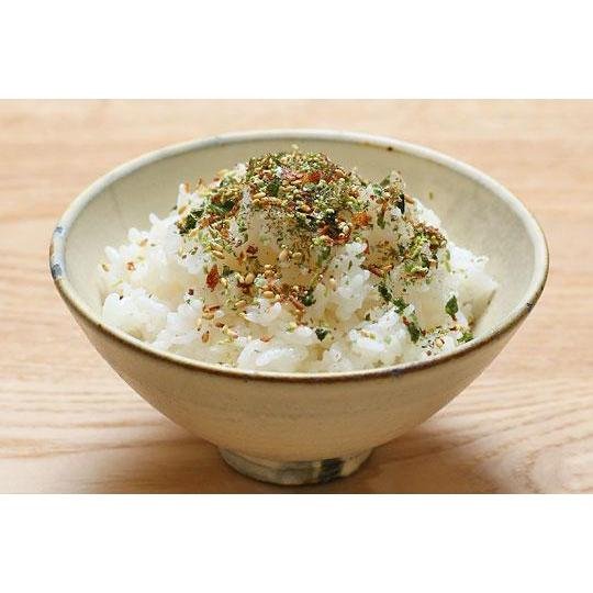 Nagatanien Otona No Furikake Rice Seasoning - Authentic Japanese Wasabi Flavor (13.5g) | Perfect for Sushi, Rice Bowls & Home Cooking