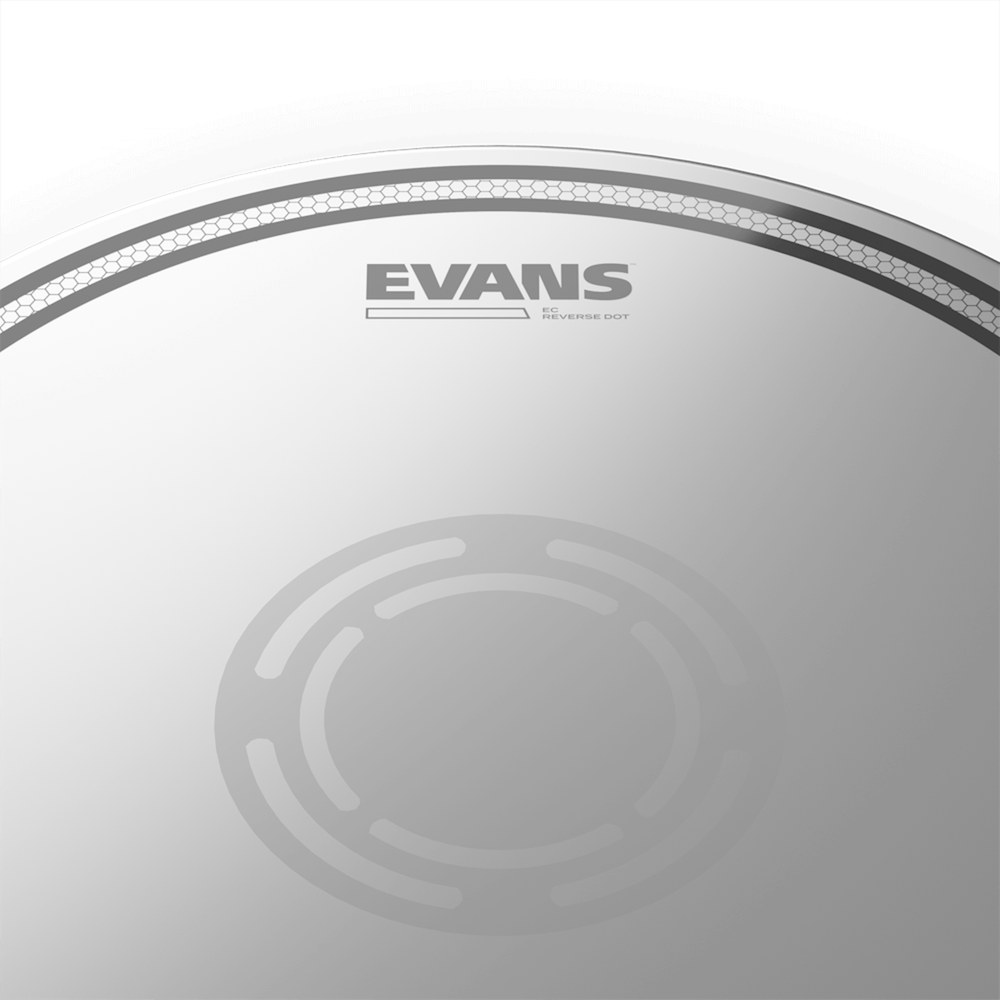 Evans EC1 Reverse Dot Drum Head - 14 Inch Snare Drum Head for Clear Attack & Durability | Perfect for Live Performances, Studio Recording & Practice Sessions