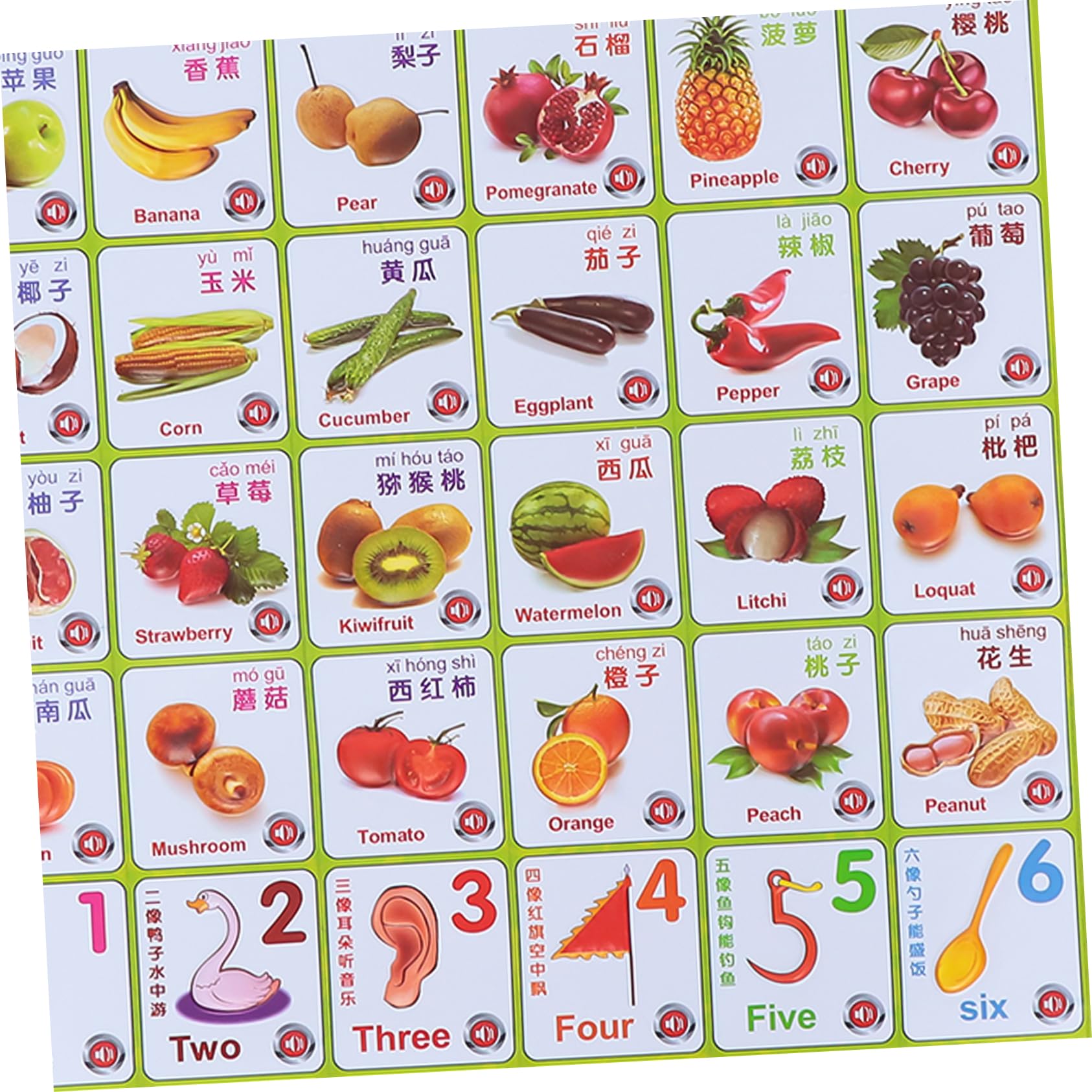 BCOATH 6-Piece Interactive Voice Hanging Picture Educational Toy for Kids - Early Learning Audio Board with Sound Effects | Perfect for Preschool Classroom & Home Learning Activities