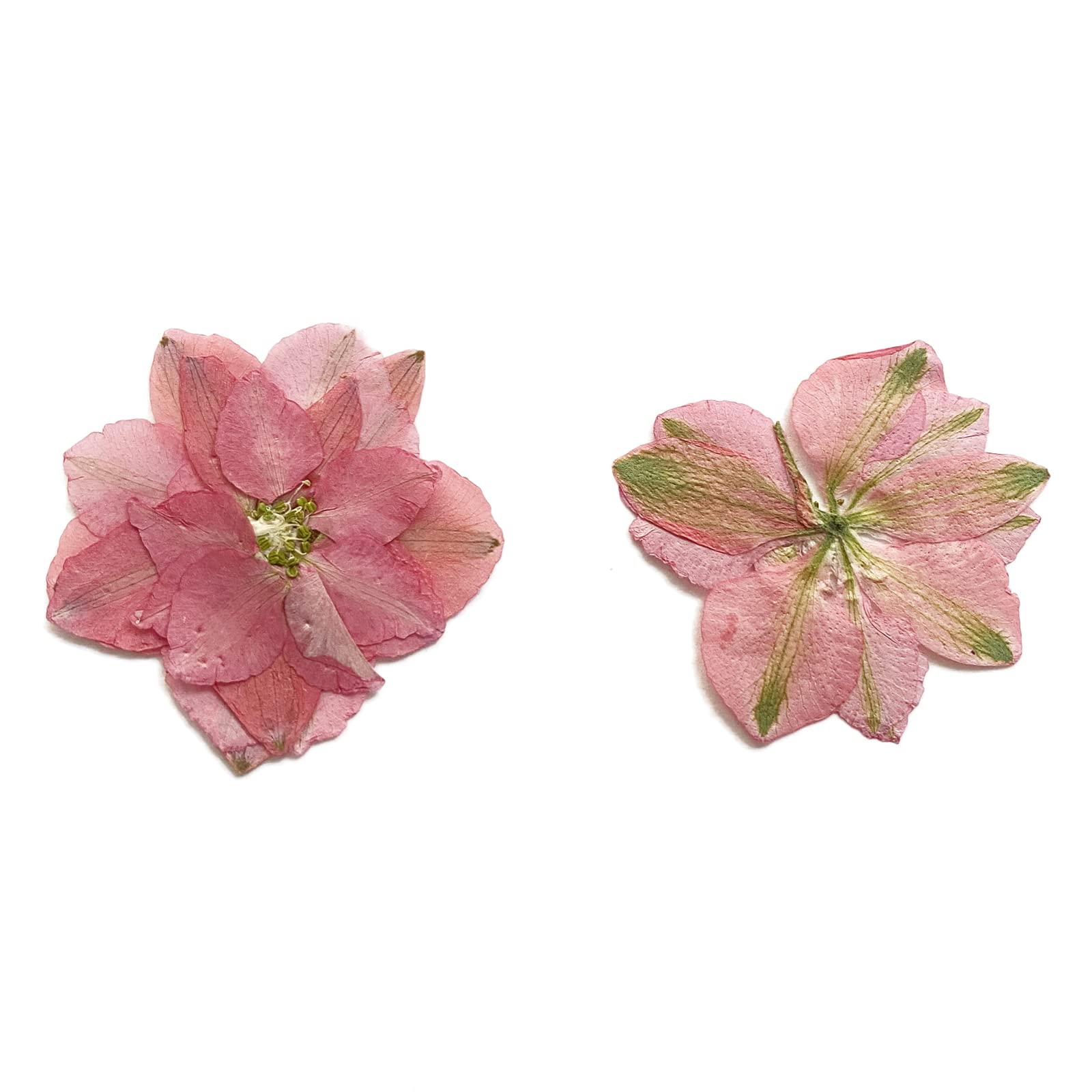 YUNZHI 12-Pack Natural Pink Delphinium Dried Pressed Flowers for DIY Crafts, Scrapbooking, Candle Making, Resin Jewelry & Home Decor - Perfect for Wedding Bouquets, Gift Wrapping & Boho Decorations