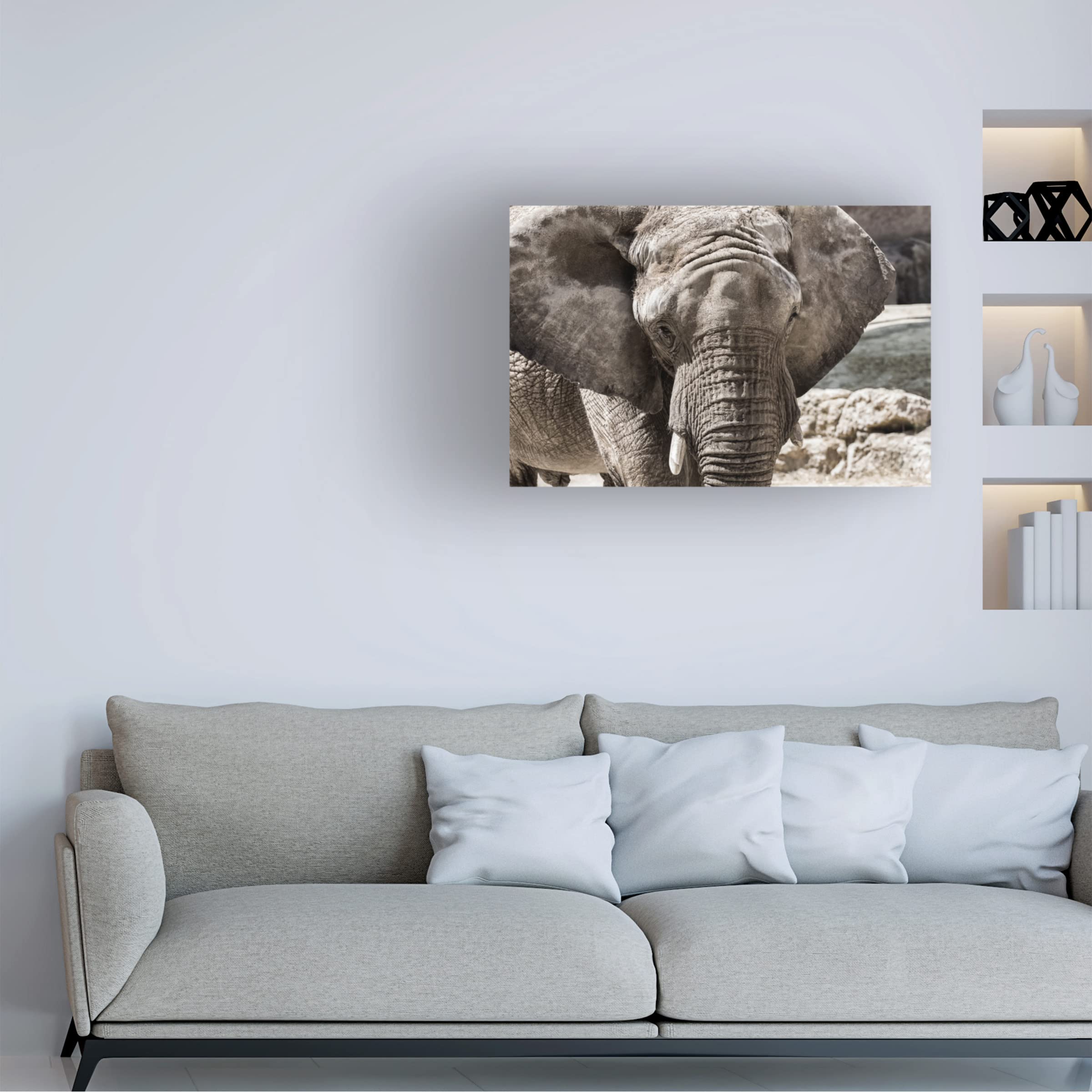 Trademark Fine Art 'The Boss' Canvas Art by Nuno Araujo - Premium Wall Decor for Living Room, Office & Modern Home Interiors