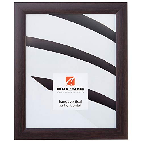 14x16 Inch Brazilian Walnut Brown Contemporary Picture Frame by Craig Frames - Perfect for Wall Art, Photo Displays & Home Decor