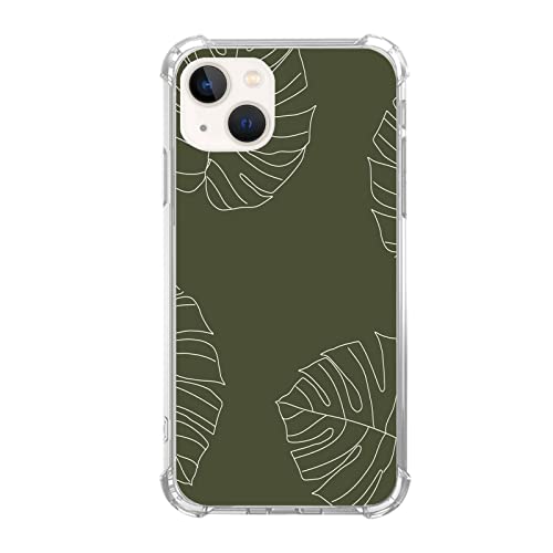 Monstera Plant