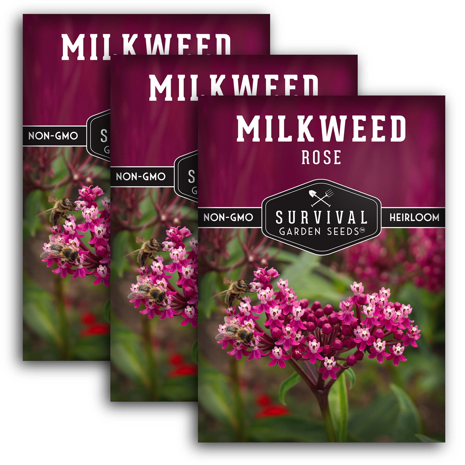 **Buy Rose Milkweed Seeds Online - Asclepias Incarnata for Butterfly Gardens & Pollinator-Friendly Landscaping**