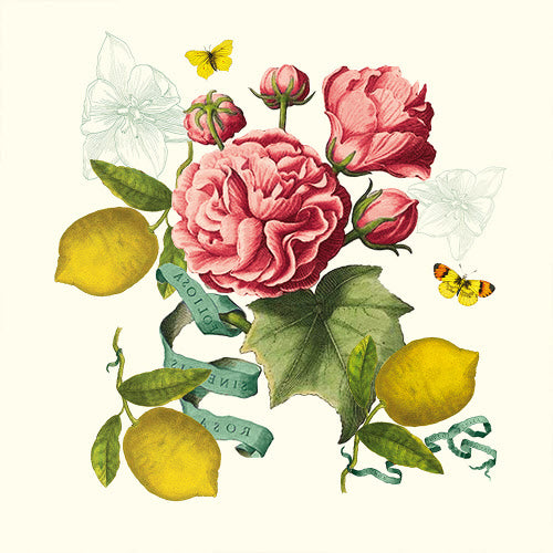 Menton Citrons Romance Collection - Premium French Lemon Fragrance for Home & Gifts | Perfect for Aromatherapy, Spa Relaxation & Luxury Decor