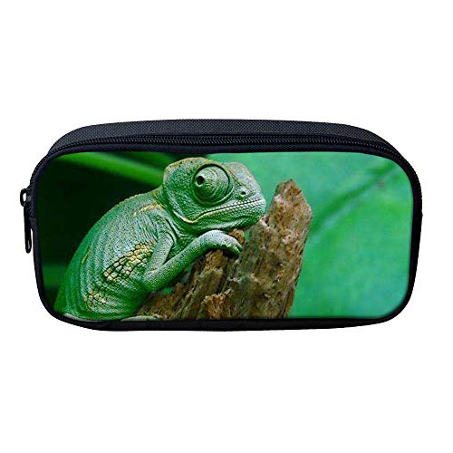 chameleon