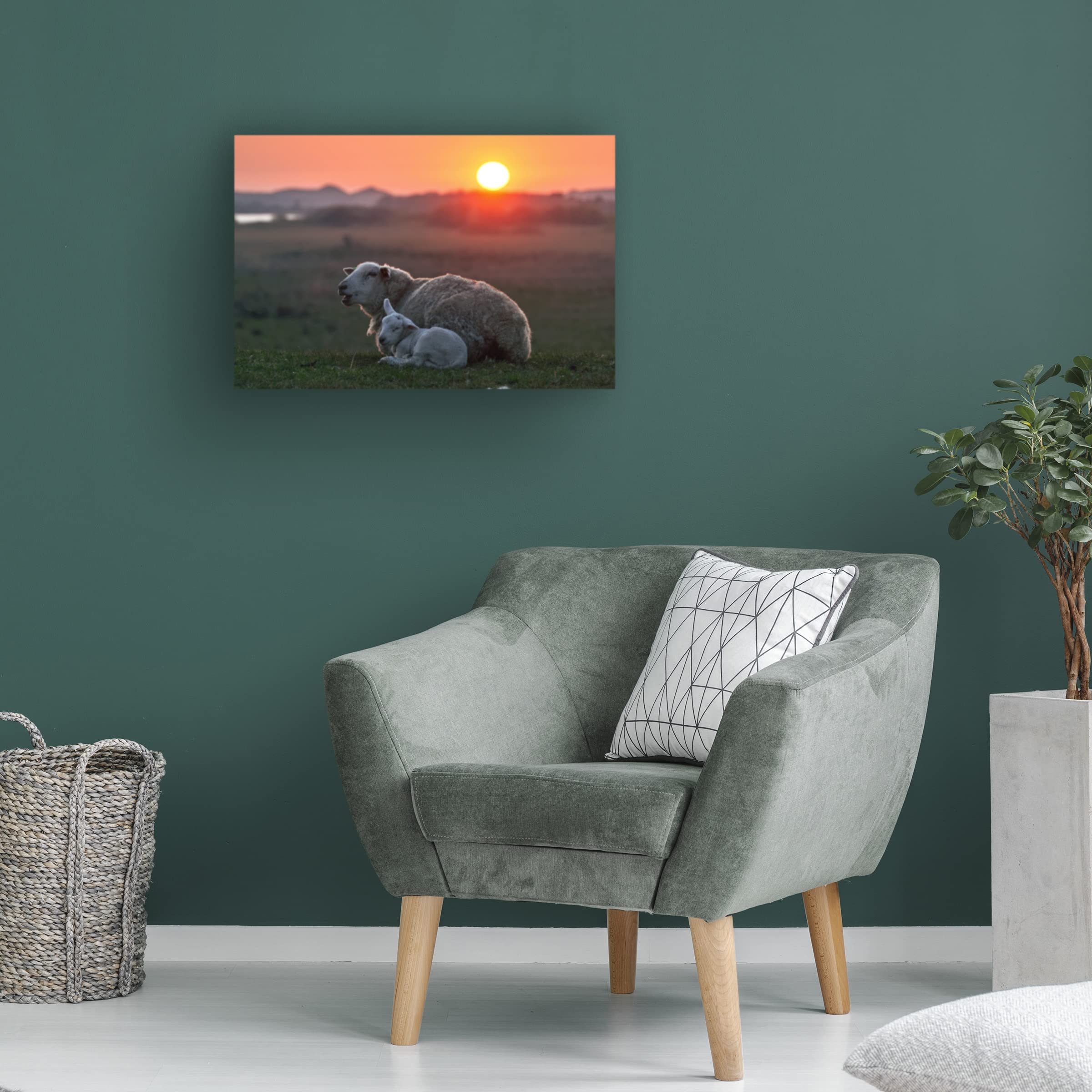 Trademark Fine Art 'Sleep Well Sheep' Canvas Wall Art by Bodo Balzer - Perfect for Nursery, Bedroom & Home Decor