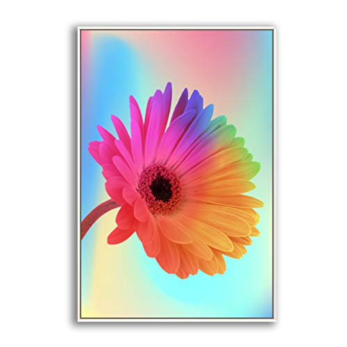Flower-04