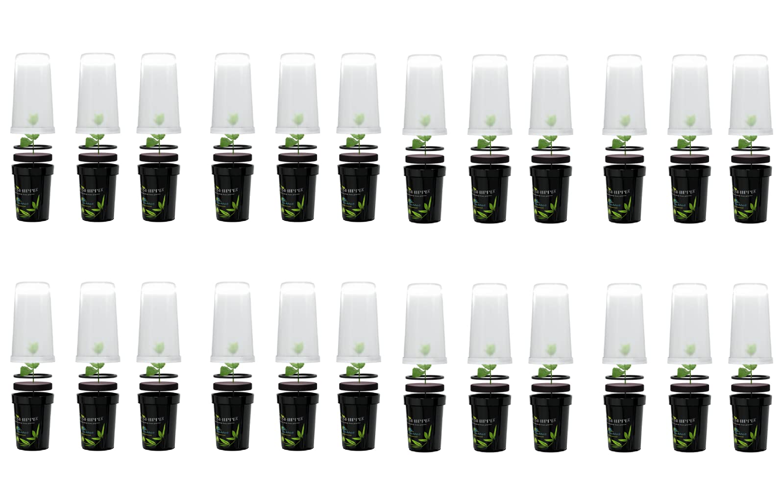 24-Pack Plastic Shipping Containers with LED Grow Lights for Young Live Plants | Ideal for Indoor Gardening, Hydroponics & Plant Nurseries