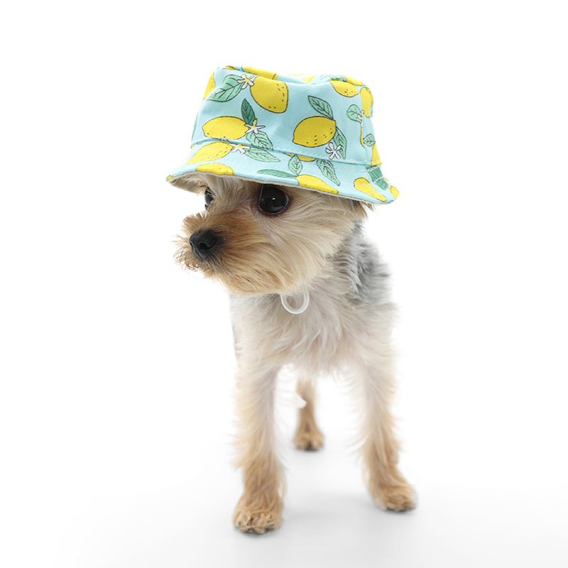 Lemon Blue Bucket Hat for Men & Women - Summer Sun Protection, Outdoor Activities, Beach & Travel Accessories