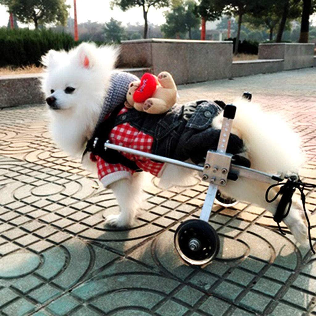 Adjustable Dog Wheelchair Cart Stroller for Hind Legs - 2-Wheel Pet Mobility Aid for Disabled Dogs, Cats & Rabbits | Post-Surgery Recovery Support for Paralyzed Animals - Perfect for Outdoor Walks & Rehabilitation Therapy