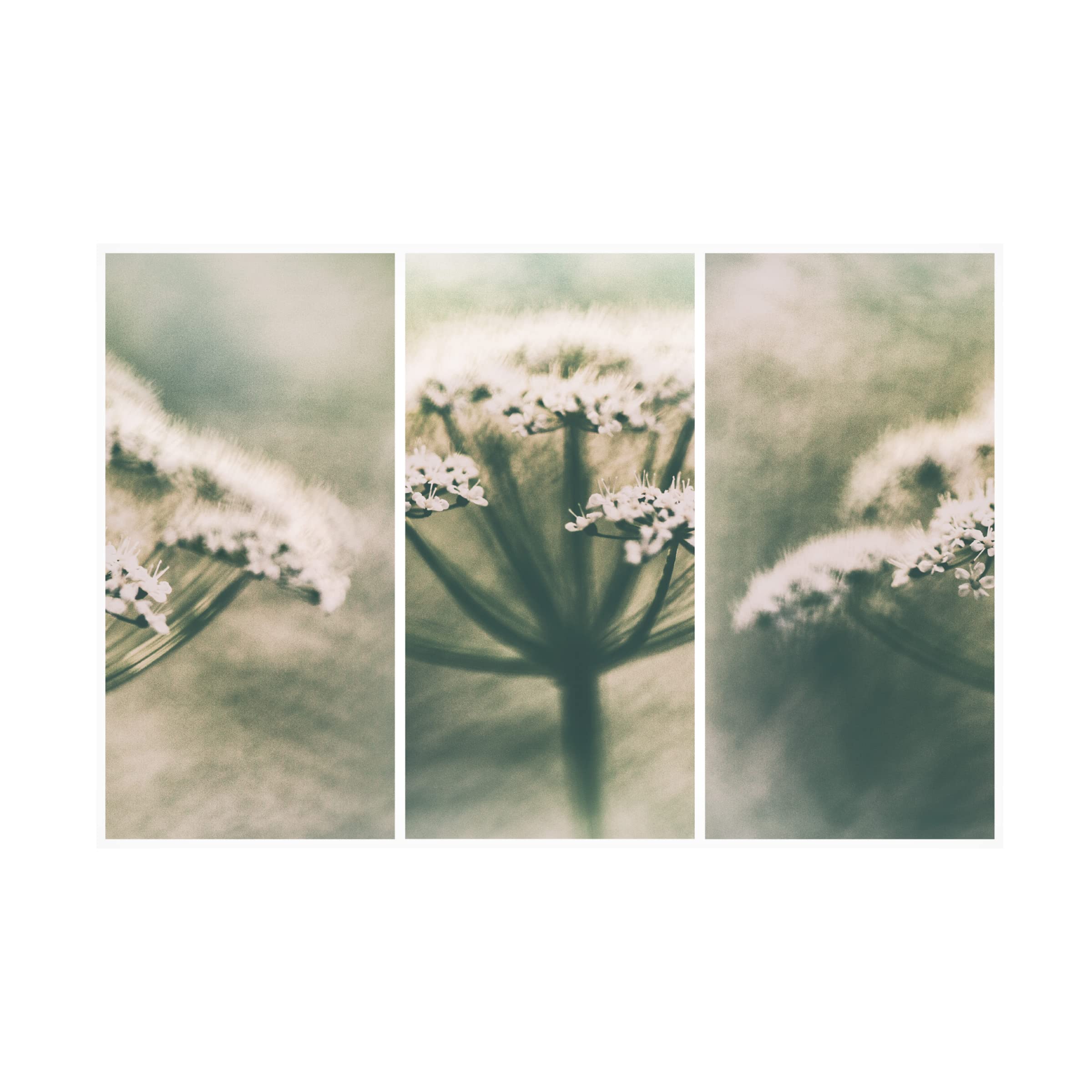 Trademark Fine Art 'Memories' Canvas Wall Art Print by Gustav Davidsson - Perfect for Living Room, Bedroom & Office Decor