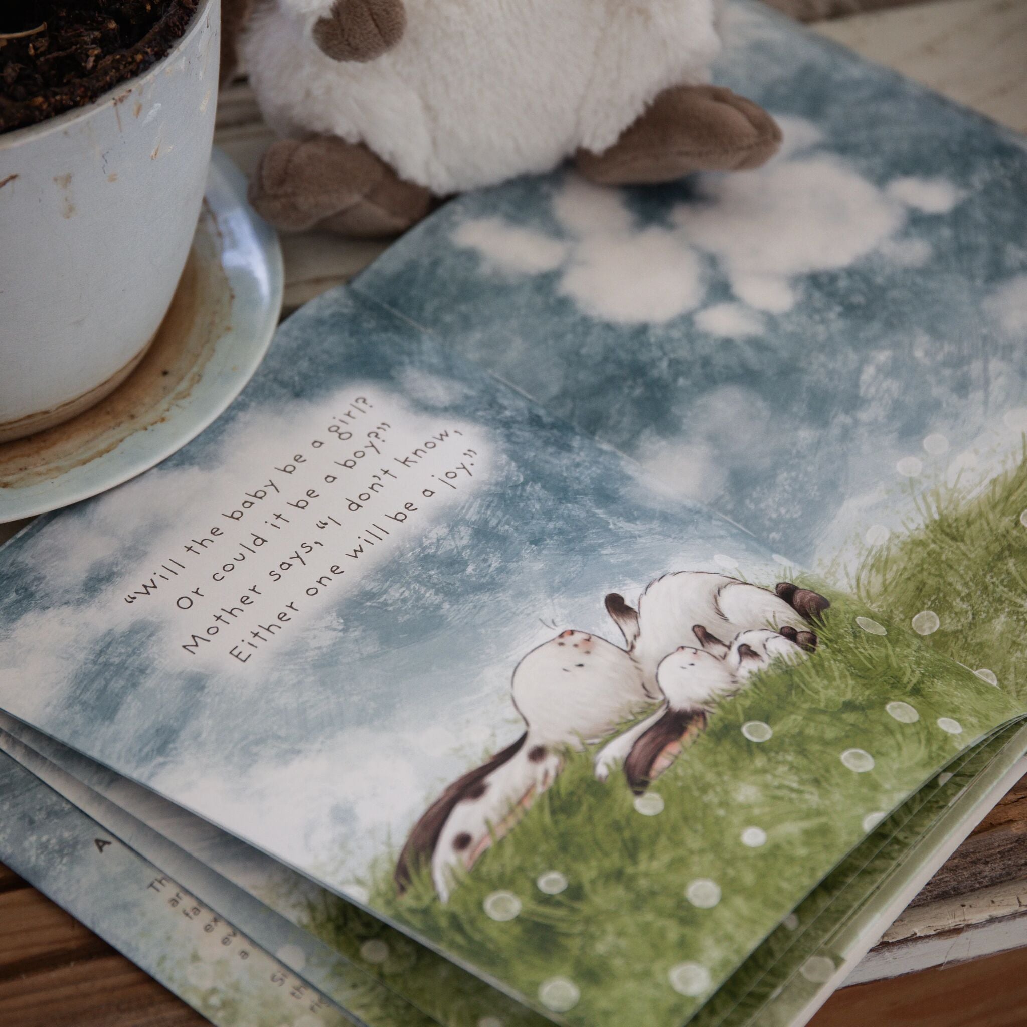 Who Will Our New Baby Be? - Gender Reveal & Baby Shower Gift Idea for Expecting Parents