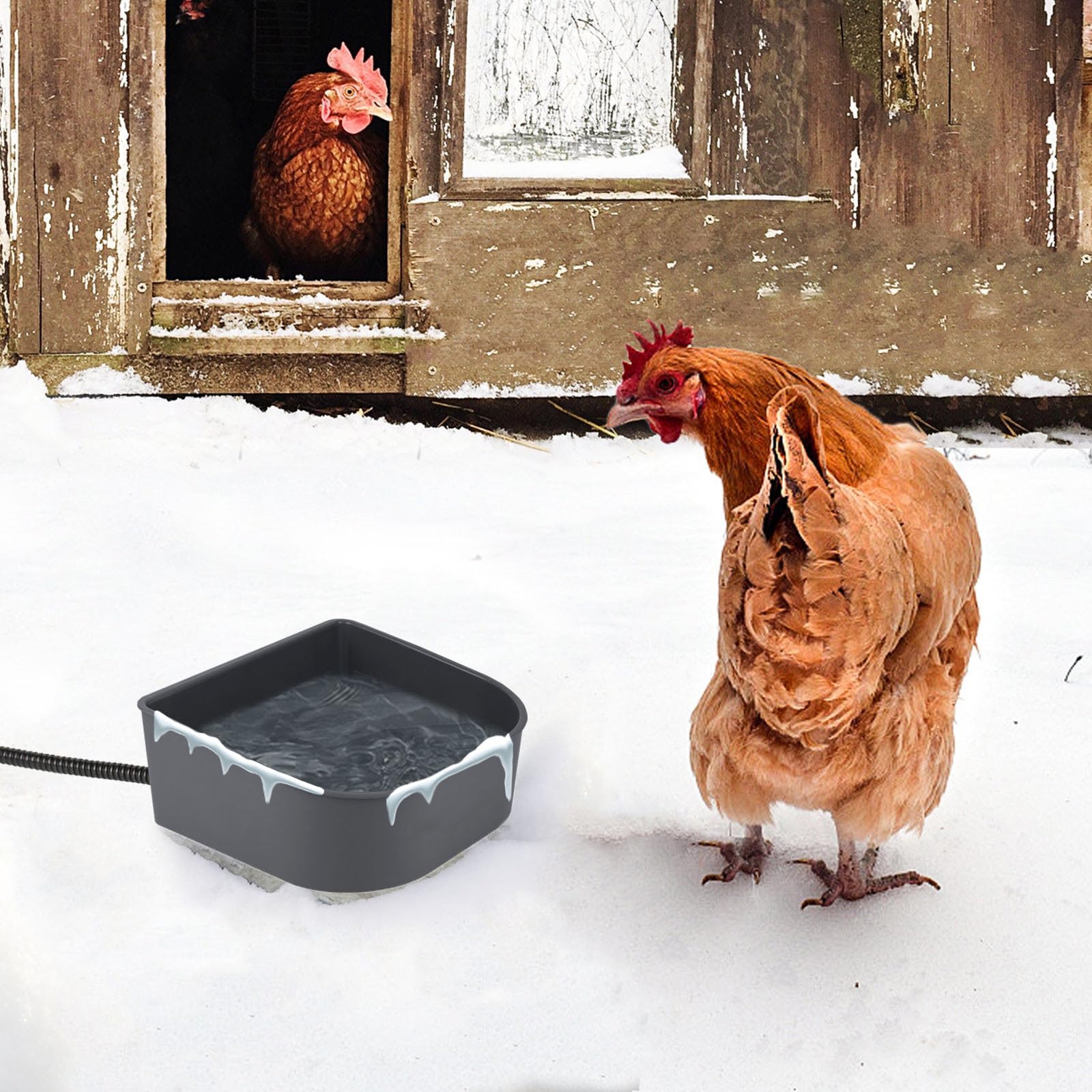 NAMSAN 1L Small Heated Pet Bowl for Cats, Rabbits, Dogs - Outdoor Heated Water Dish for Chickens & Birds - Indoor Thermal Dog Crate Bowl & Hanging Kennel Cage Feeder with Removable Design | Perfect for Winter Pet Care, Backyard Poultry & Travel Use