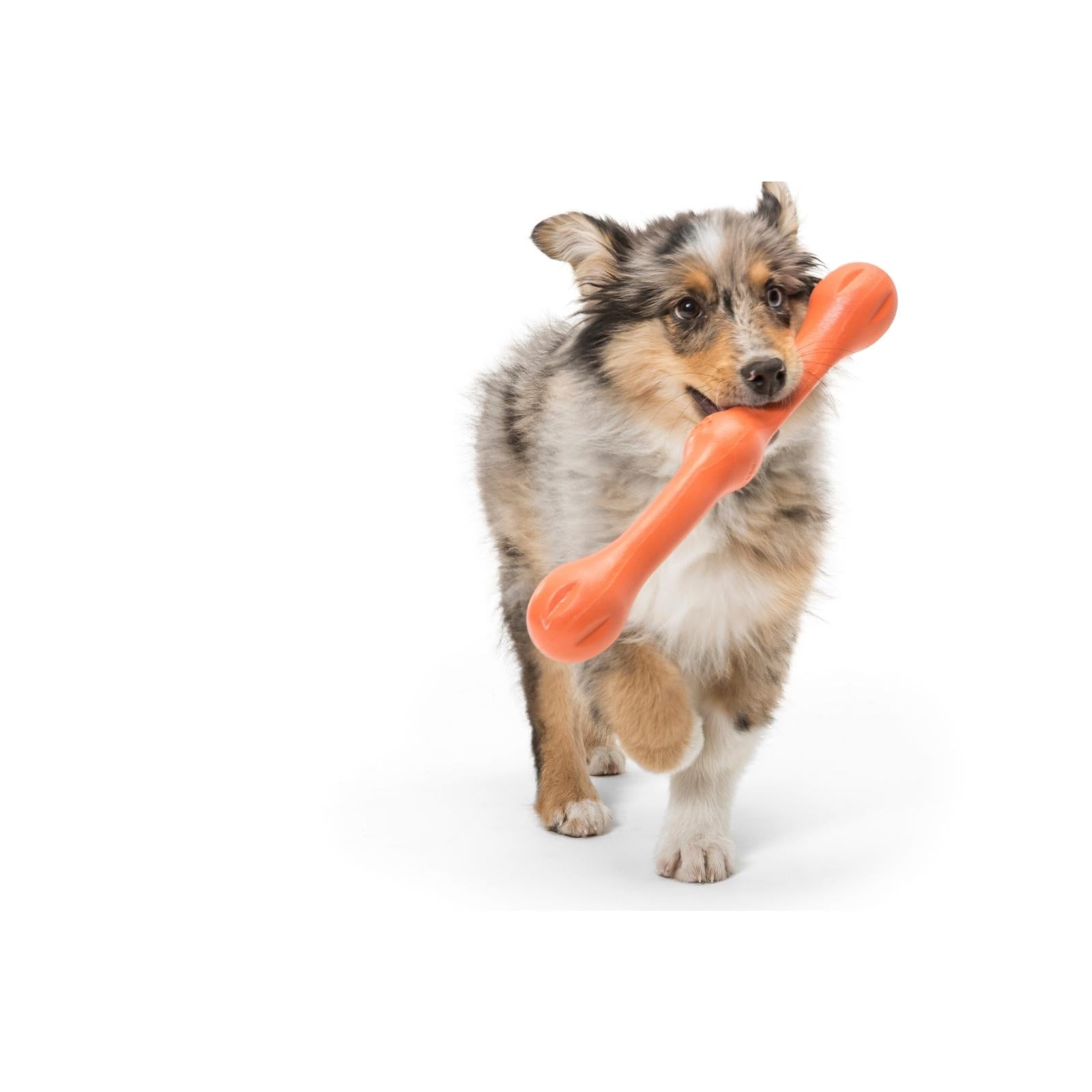 West Paw® ZWIG Dog Toy - Soft, Durable Chew Toy for Small & Large Dogs - Purple Color - Perfect for Indoor Play, Fetch & Teething Puppies