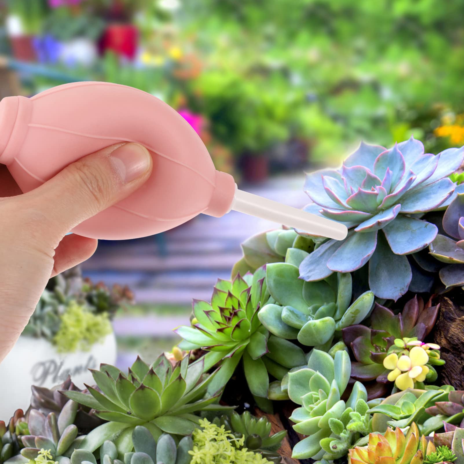 YARNOW 6-Piece Mini Garden Hand Tool Set - Succulent & Cactus Transplanting Tools, Fairy Garden Accessories, Indoor Potting Kit for Houseplants, Bonsai Care - Pink (Perfect for Small Spaces, Windowsill Gardens & DIY Plant Projects)