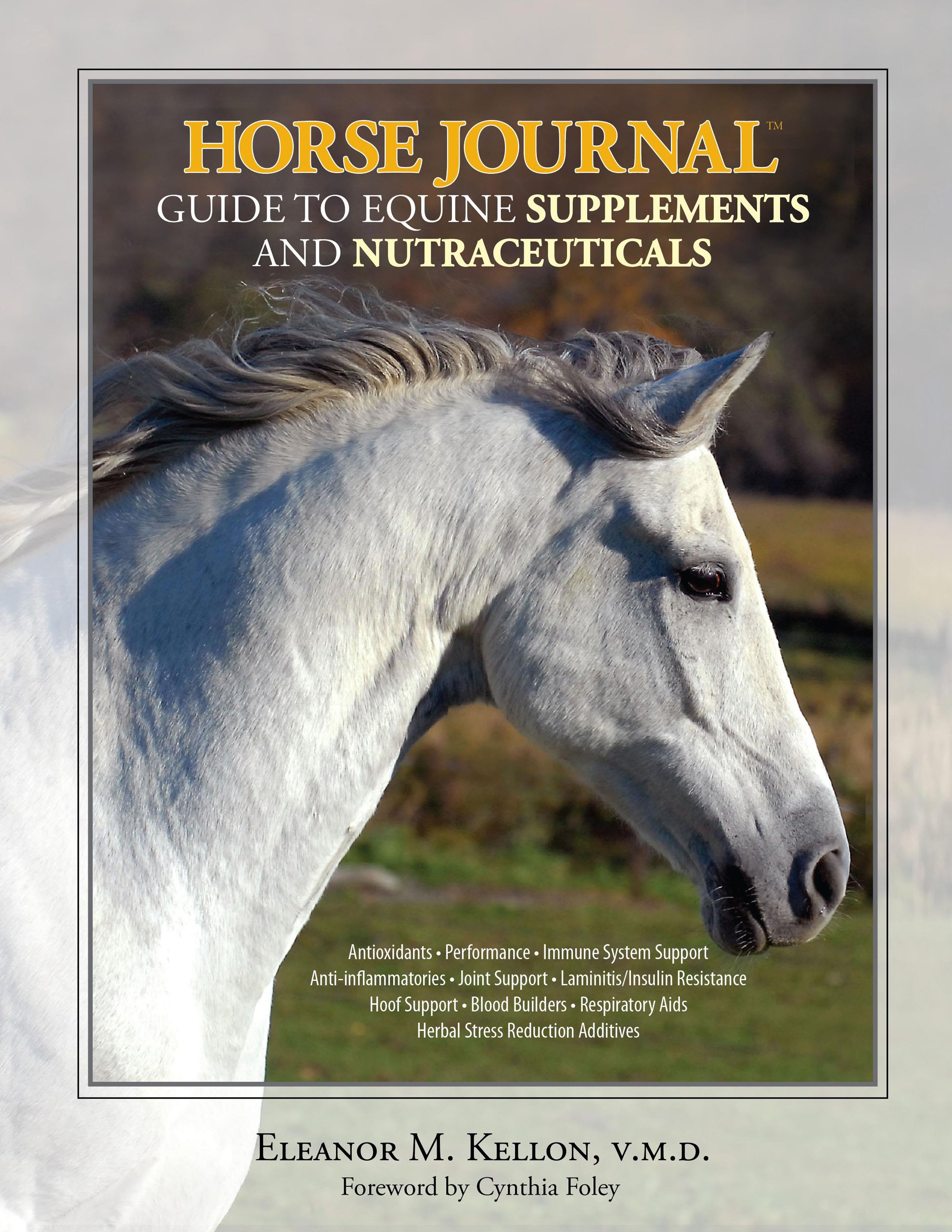Best Equine Supplements & Nutraceuticals Guide for Horses - Expert Tips for Horse Health & Performance | Perfect for Training, Recovery & Show Preparation