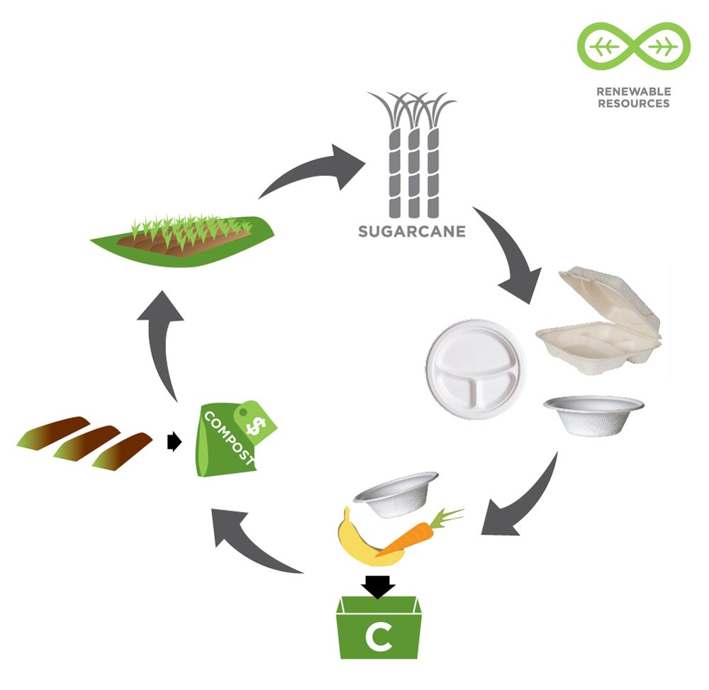 ECO PRODUCTS Compostable 10