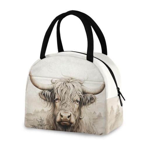Highland Cow