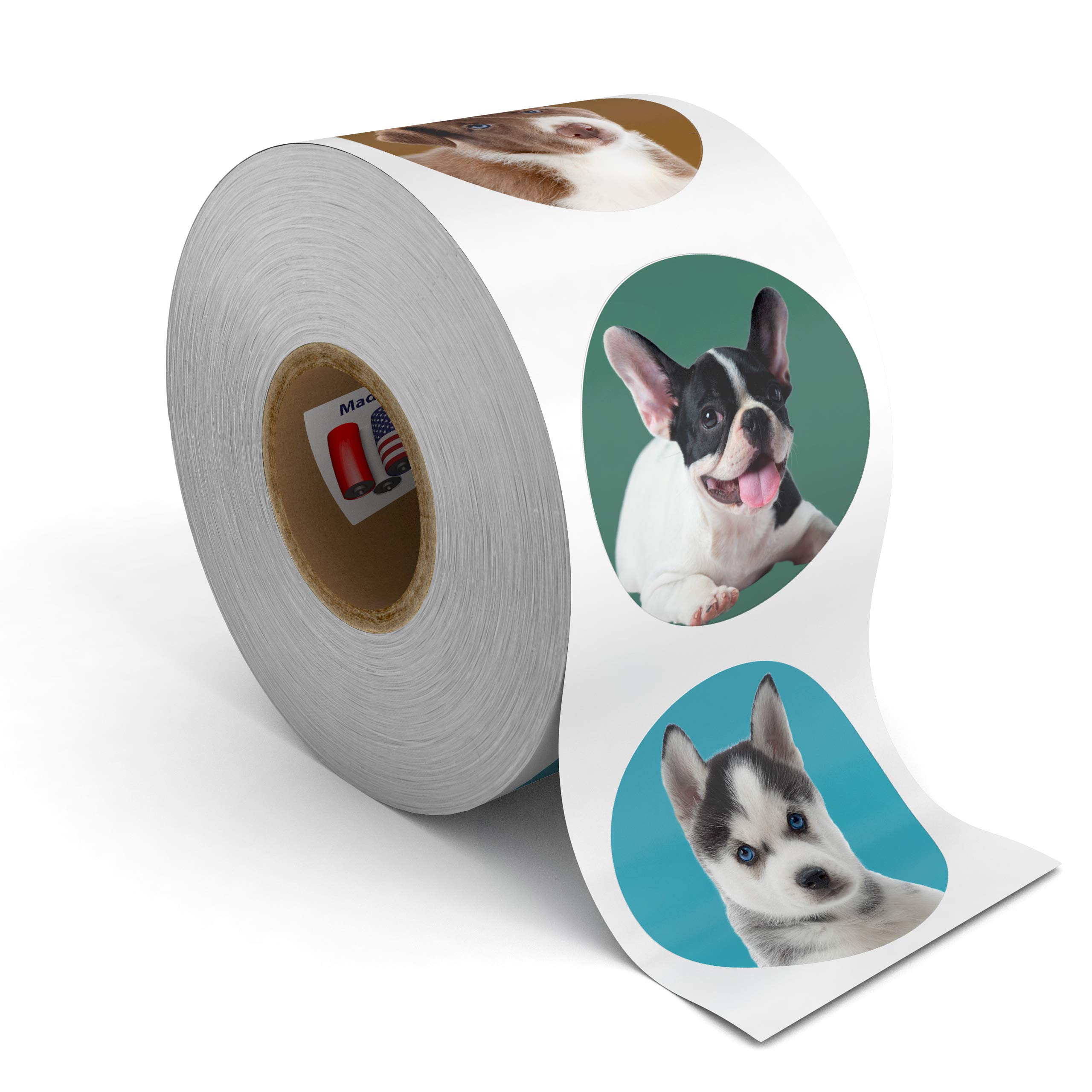 500 Fun Stickers for Kids - Puppies, Kittens, Emoji, Smileys, Trucks, Dinosaurs & More | 1.5 Inch Circle Motivational Reward Stickers | Made in USA | Perfect for School, Scrapbooking & Reward Charts