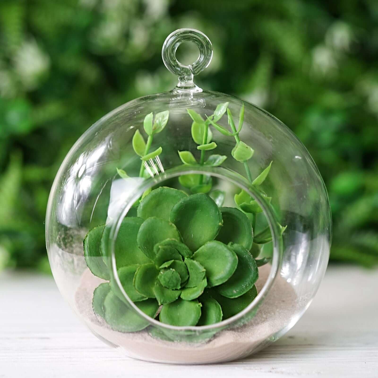 Efavormart 4-Piece Clear Glass Terrarium Set - Hanging Succulent Planters for Air Plants, Mini Cacti & Small Flowers | Perfect for Home Decor, Wedding Centerpieces & Office Desk Decorations