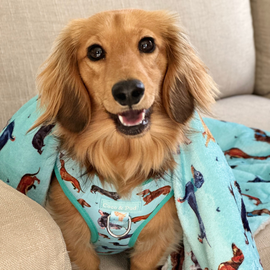 Doxie Love Luxe Blanket - Ultra Soft & Cozy Plush Throw for Dogs & Pet Lovers - Perfect for Cuddling, Sofa, Bed & Travel Use