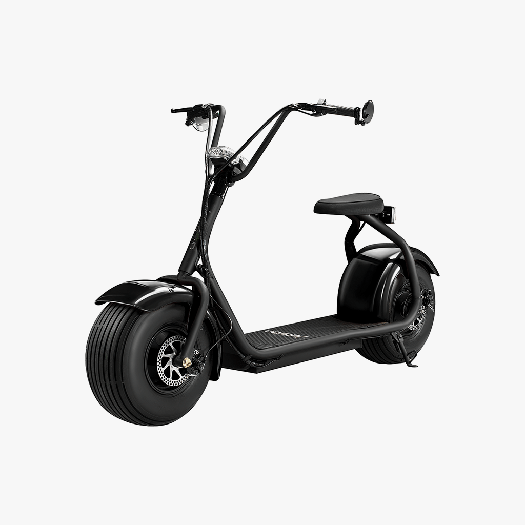 Fatboy Electric Bike for Adults - 750W Motor, 20