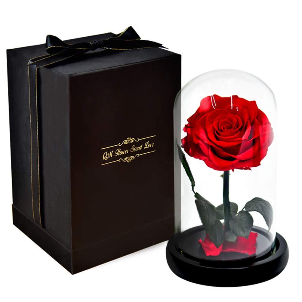 OSALADI Romantic LED String Lights with Artificial Roses - Battery Powered Glass Dome Night Lamp for Women, Wedding, Valentine's Day & Birthday Gifts | Perfect for Bedroom Decor, Table Centerpiece & Special Occasion Lighting