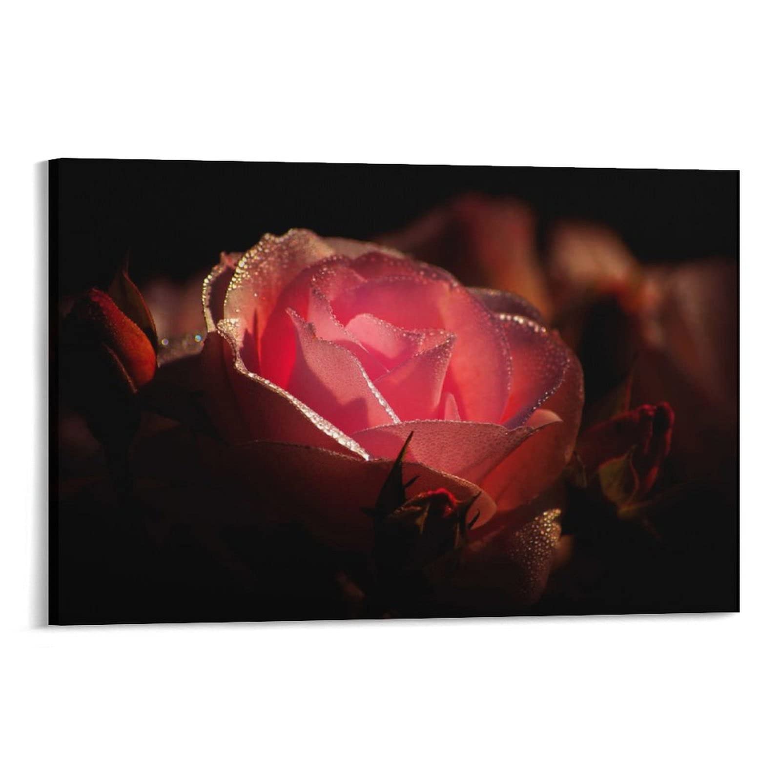 A Touch of Spring: The Story Behind the Pink Rose Dew Blossom Wall Art