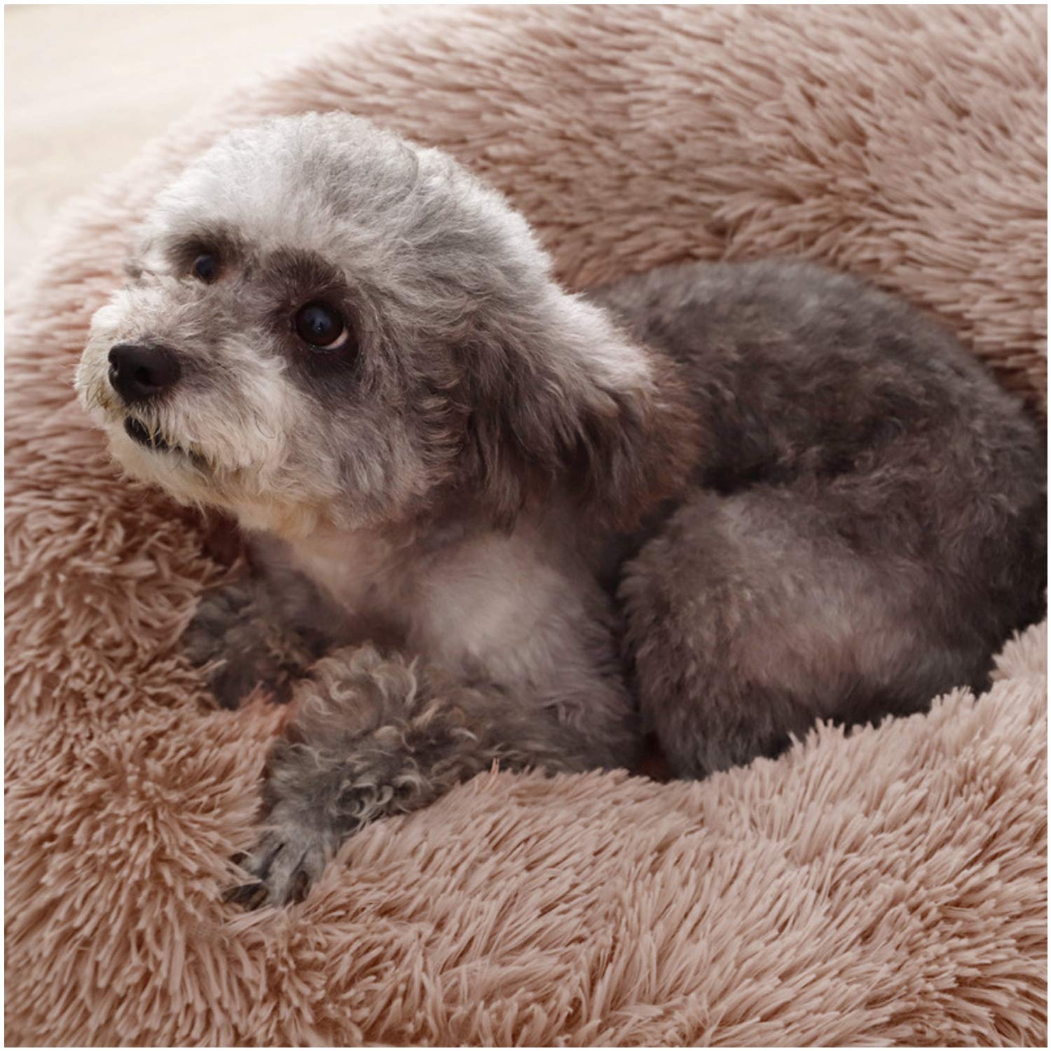 Cozy Pet Cave Bed - Warm & Soft Dog Bed, Cat Bed, Puppy Sleeping Bag - Perfect for Small Pets, Indoor Use & Cuddling