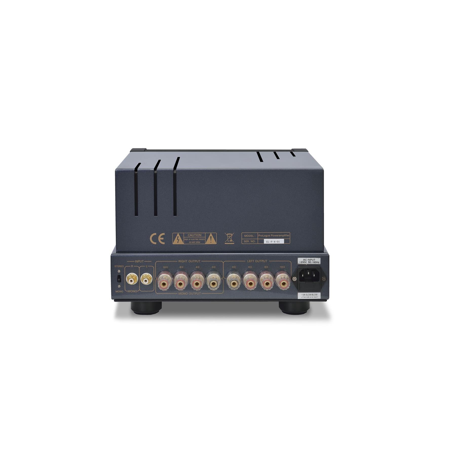 PrimaLuna EVO 100 Tube Power Amplifier - High-End Audio Equipment for Home Theater & Stereo Systems | Perfect for Audiophiles & Music Lovers