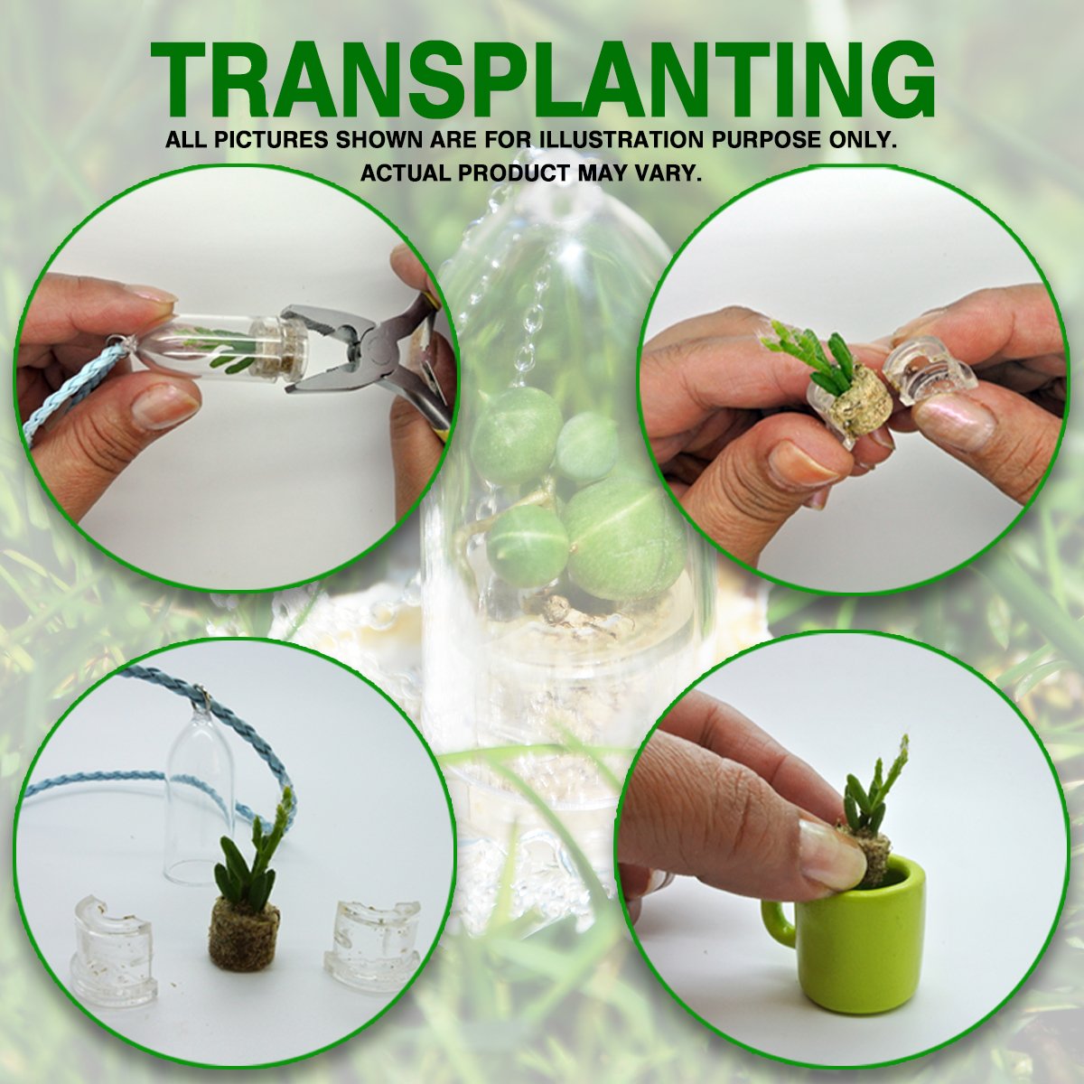 Terrarium Flower Necklace with Live Needle Cactus - Succulent Plant Pendant Keychain for Women, Mini Living Plants Jewelry in Glass Capsule - Unique Boo-Boo Plant Gift with Green Clip | Perfect for Boho Fashion, Nature Lovers & DIY Terrarium Decor
