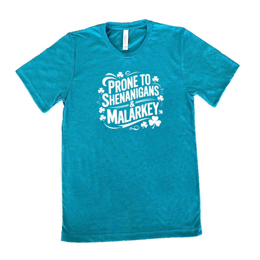 Funny Unisex T-Shirt - Prone To Shenanigans & Malarkey Design - Perfect for Casual Wear, Gifts & Humorous Occasions