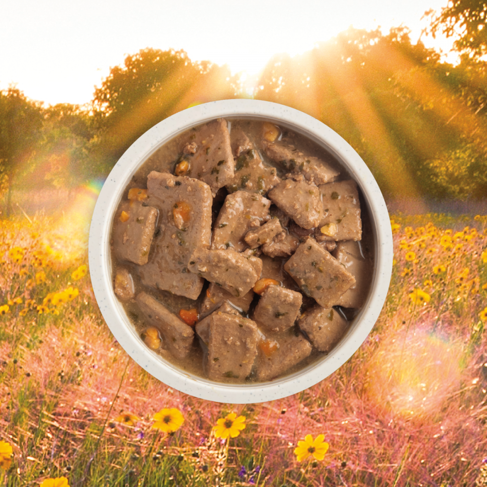 ACANA Premium Grain-Free Poultry Recipe Wet Dog Food in Bone Broth - High Protein, All-Natural Ingredients for Adult Dogs - Perfect for Mealtime, Training Treats & Digestive Health