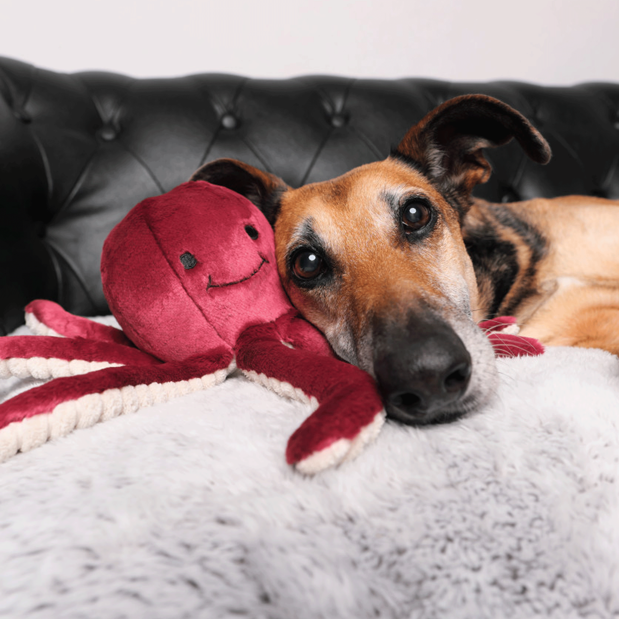 Fluff & Tuff Olympia Octopus Dog Toy - Durable Red Plush Chew Toy for Medium & Large Dogs - Perfect for Fetch, Tug-of-War & Cuddling Playtime