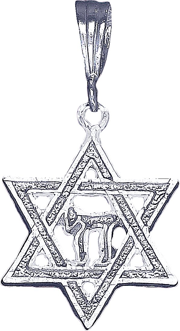 Sterling Silver Star of David Necklace with 18