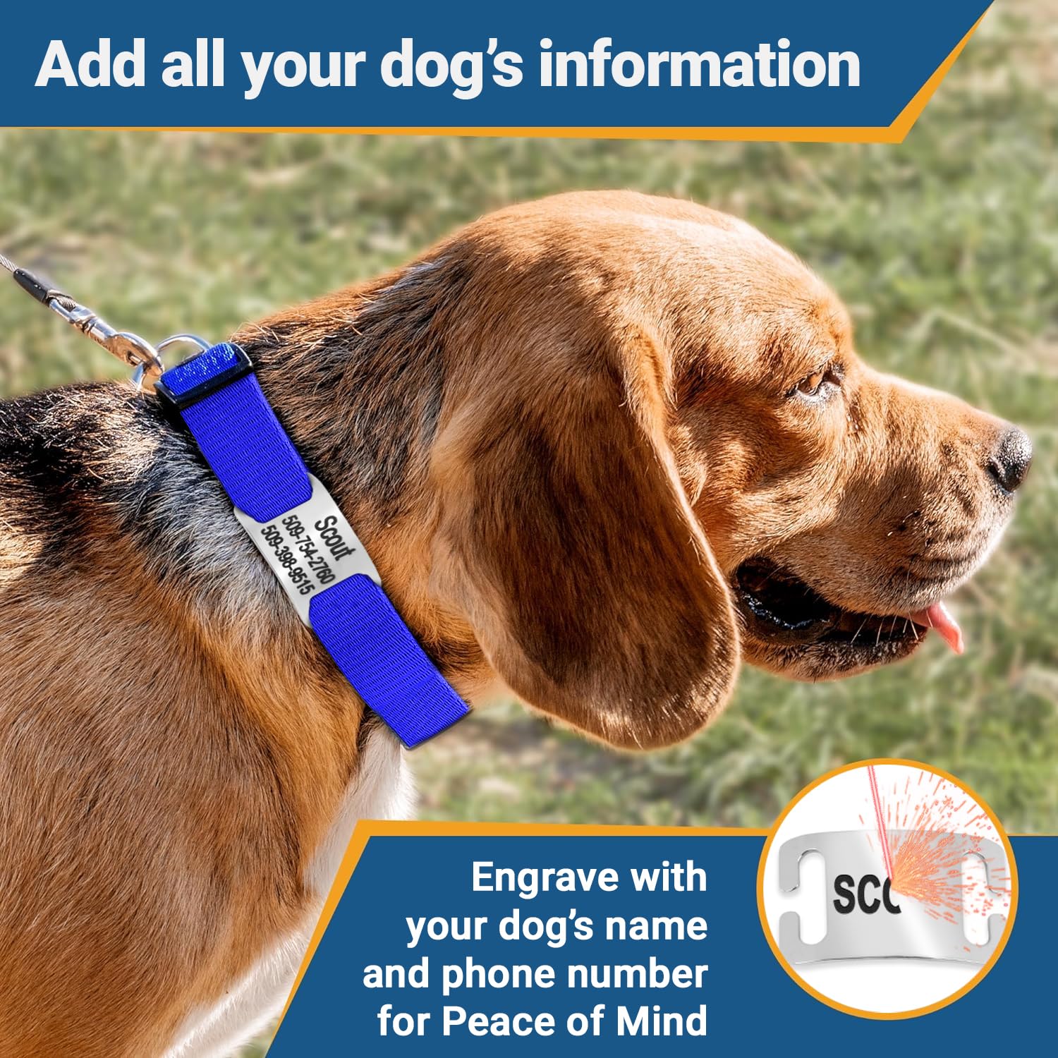 **Personalized Dog Collar with Engraved Nameplate - Adjustable Pet Collar with Silent Stainless Steel ID Tag for Small, Medium & Large Dogs - Perfect for Walks, Training & Gifts (Red, Medium)**