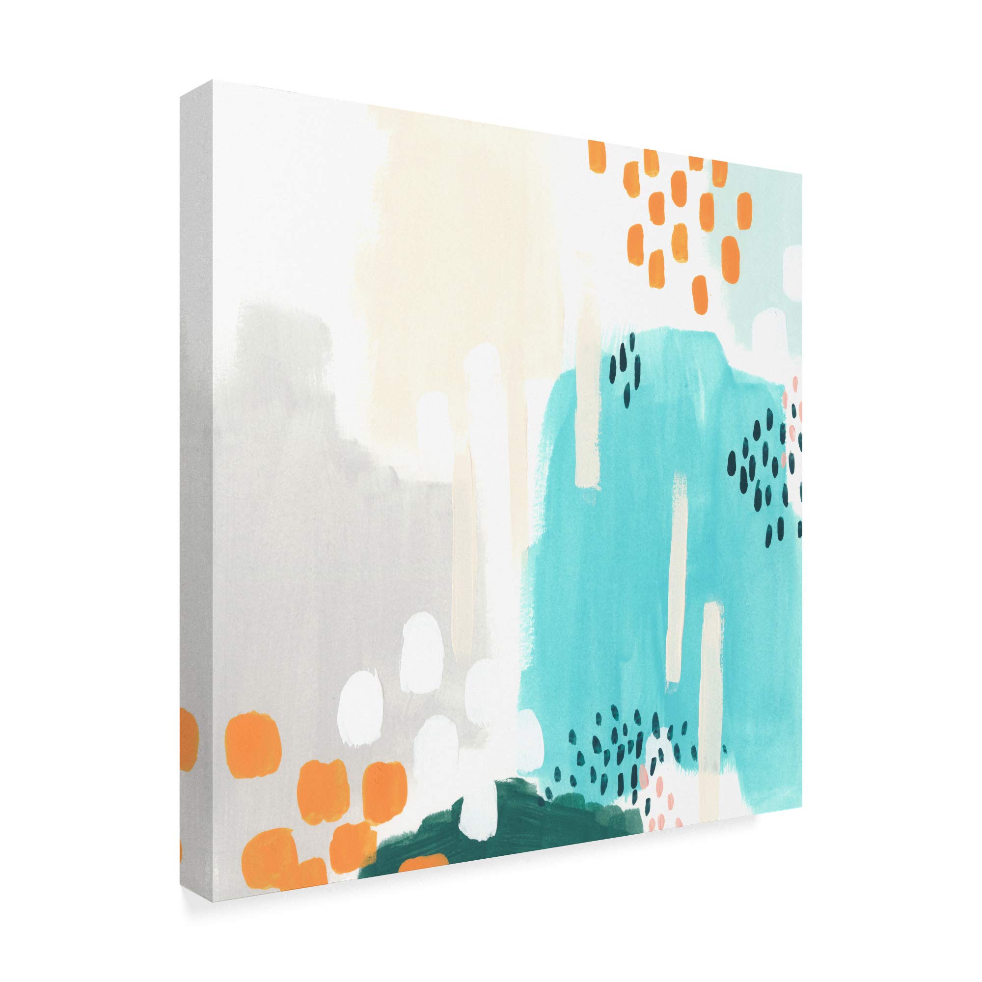 Trademark Fine Art Precept V by June Erica Vess - 18x18 Inch Square Canvas Wall Art - Perfect for Living Room, Bedroom & Office Decor